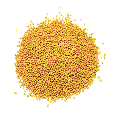 Mustard Seed