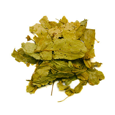 Lime Leaves