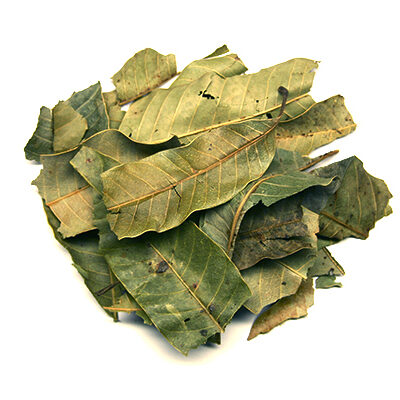 Mango Leaves