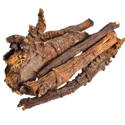 Osha Root